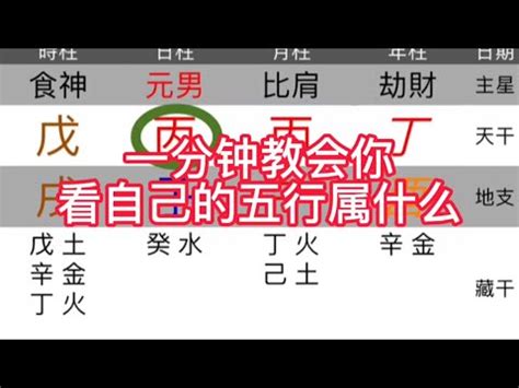 天運五行屬木|【天運在五行】天運五行是什麼 